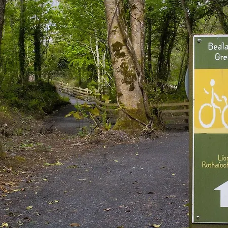 Bed and breakfast Anchor House Only 3*